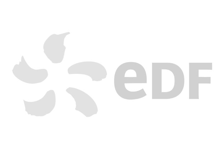 Logo EDF avec symbole et lettres grises
