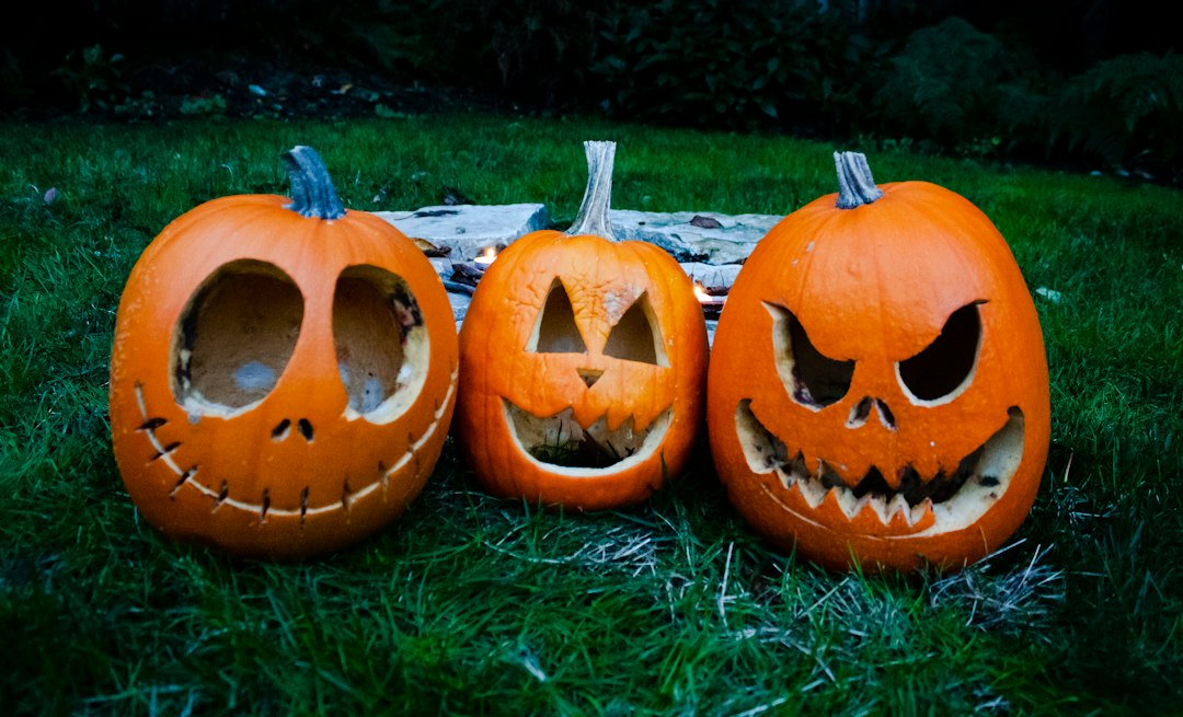 Trois citrouilles d'Halloween sculptées posées dans l'herbe, sortie en famille