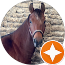 Morgane Lebouc Avatar