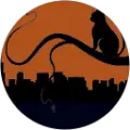 willow cat Avatar
